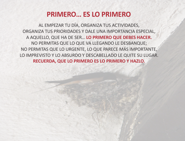 Primero... lo primero Febrero 14 de 2012